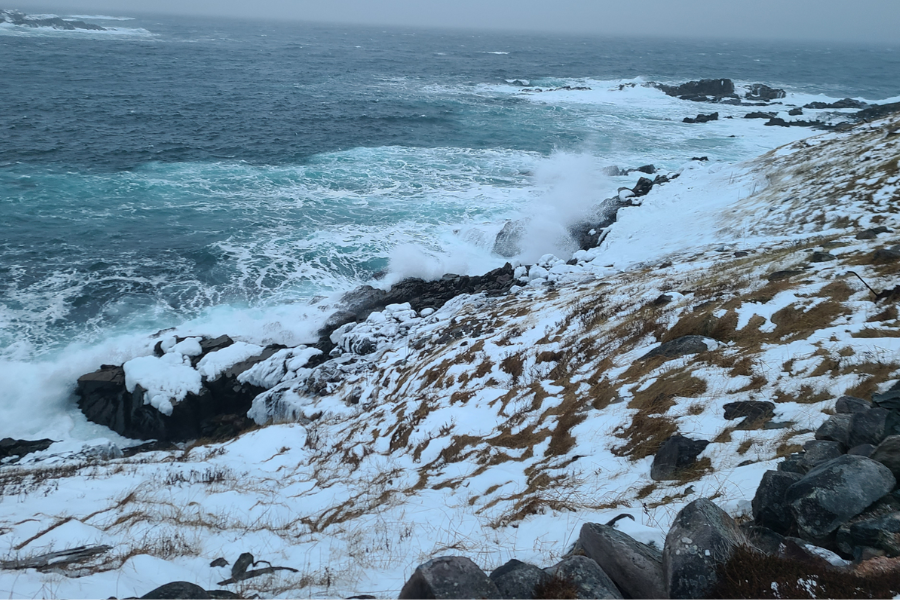 Real Exposure. Real Damage. Real Skin Barrier Care.