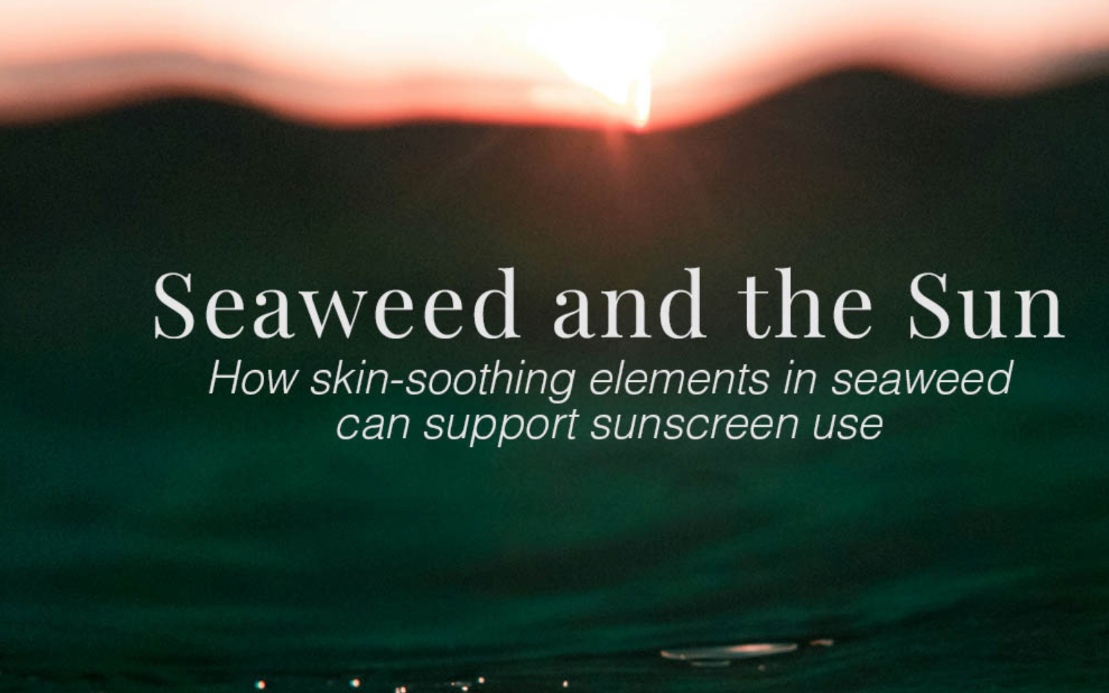 Image of sunrise and ocean. Title: Seaweed and the Sun. How skin-soothing elements in seaweed can support sunscreen use.