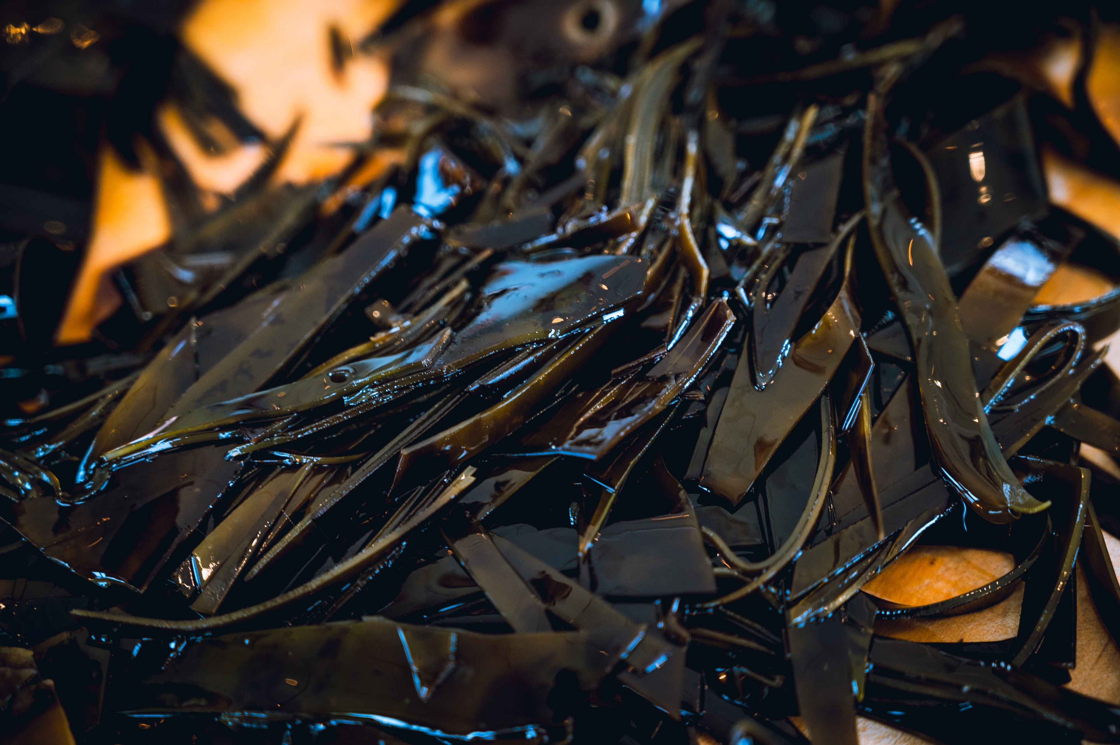 Close-up of laminaria digitata with a blurred background