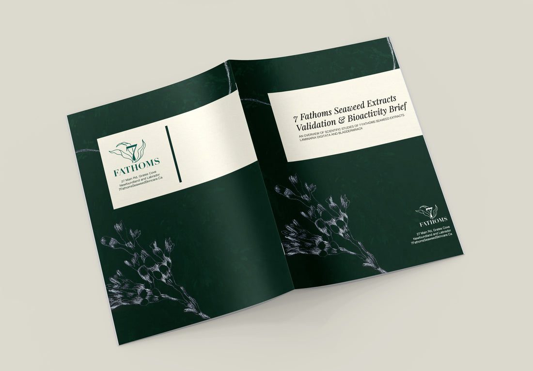 7 Fathoms Releases Validation & Bioactivity Brief Highlighting Five Years of Research on Newfoundland Seaweed Extracts