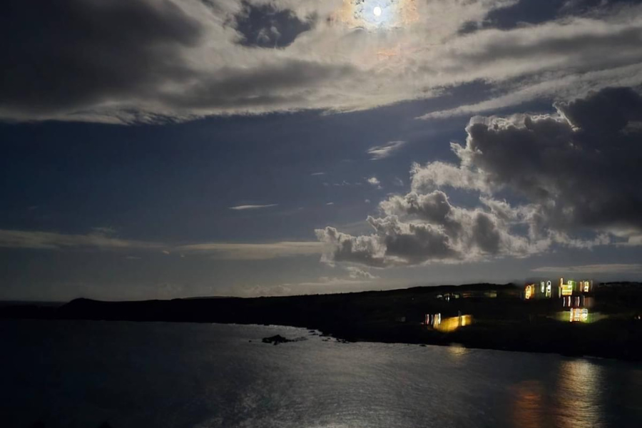 Discover the Healing Power of Seaweed: The Journey of 7 Fathoms