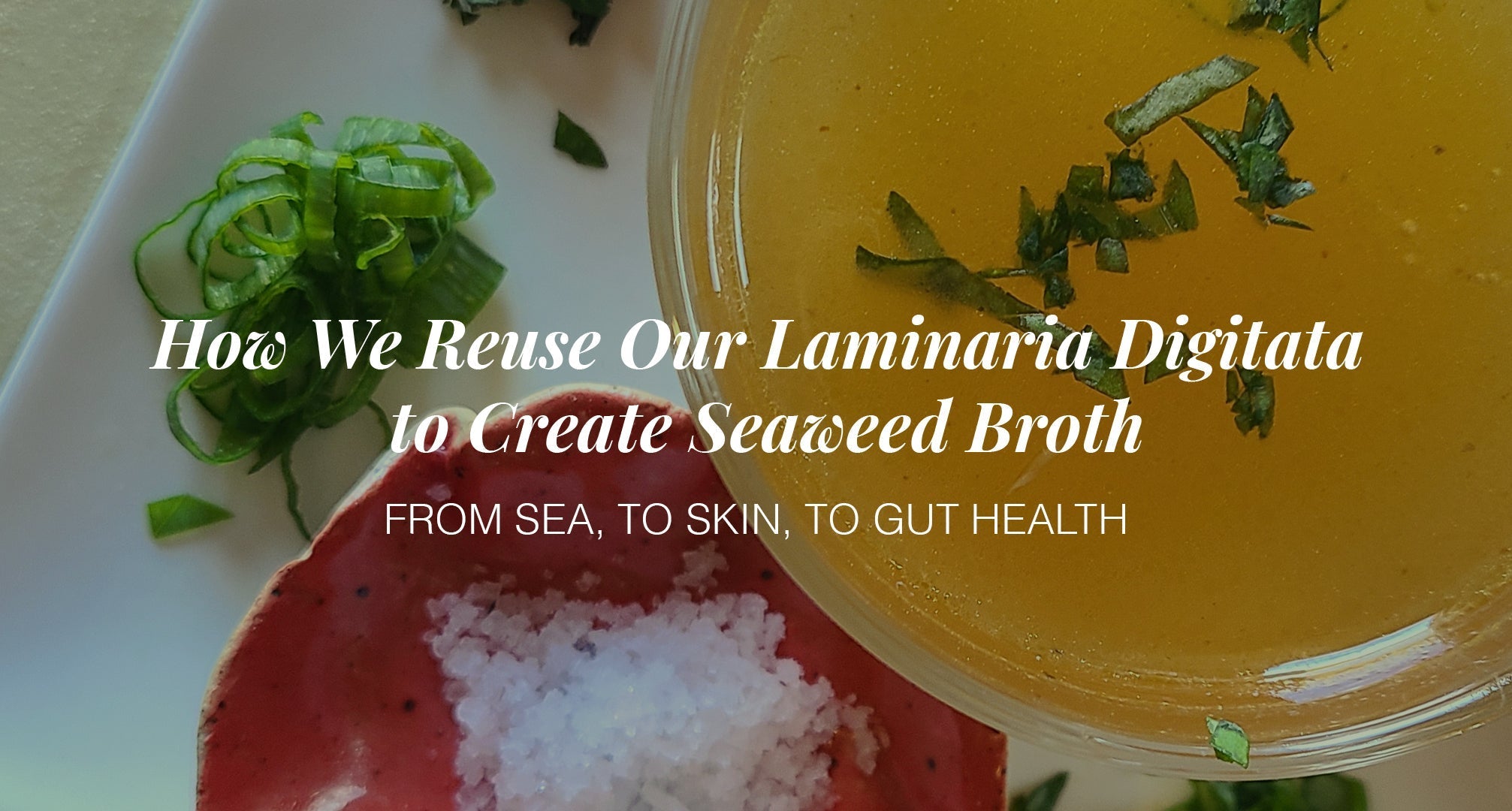 From Sea to Skin, to gut health: How We Reuse Our Laminaria Digitata to Create Seaweed Broth