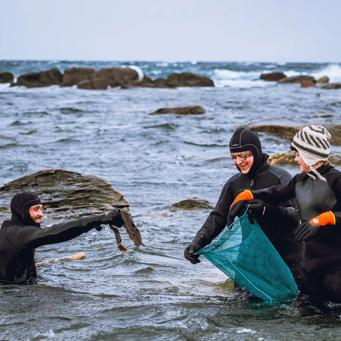 Plunging in: A Story of Seaweed, Dragons, and Success.