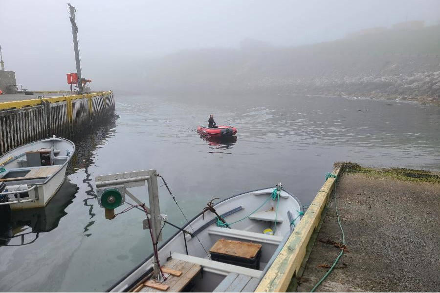 Returing to Grates Cove after Seaweed Harvest