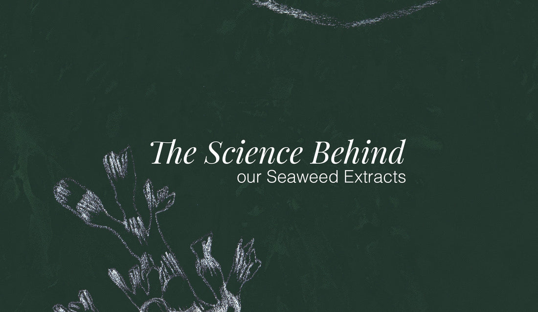 The Science behind our Seaweed Extracts