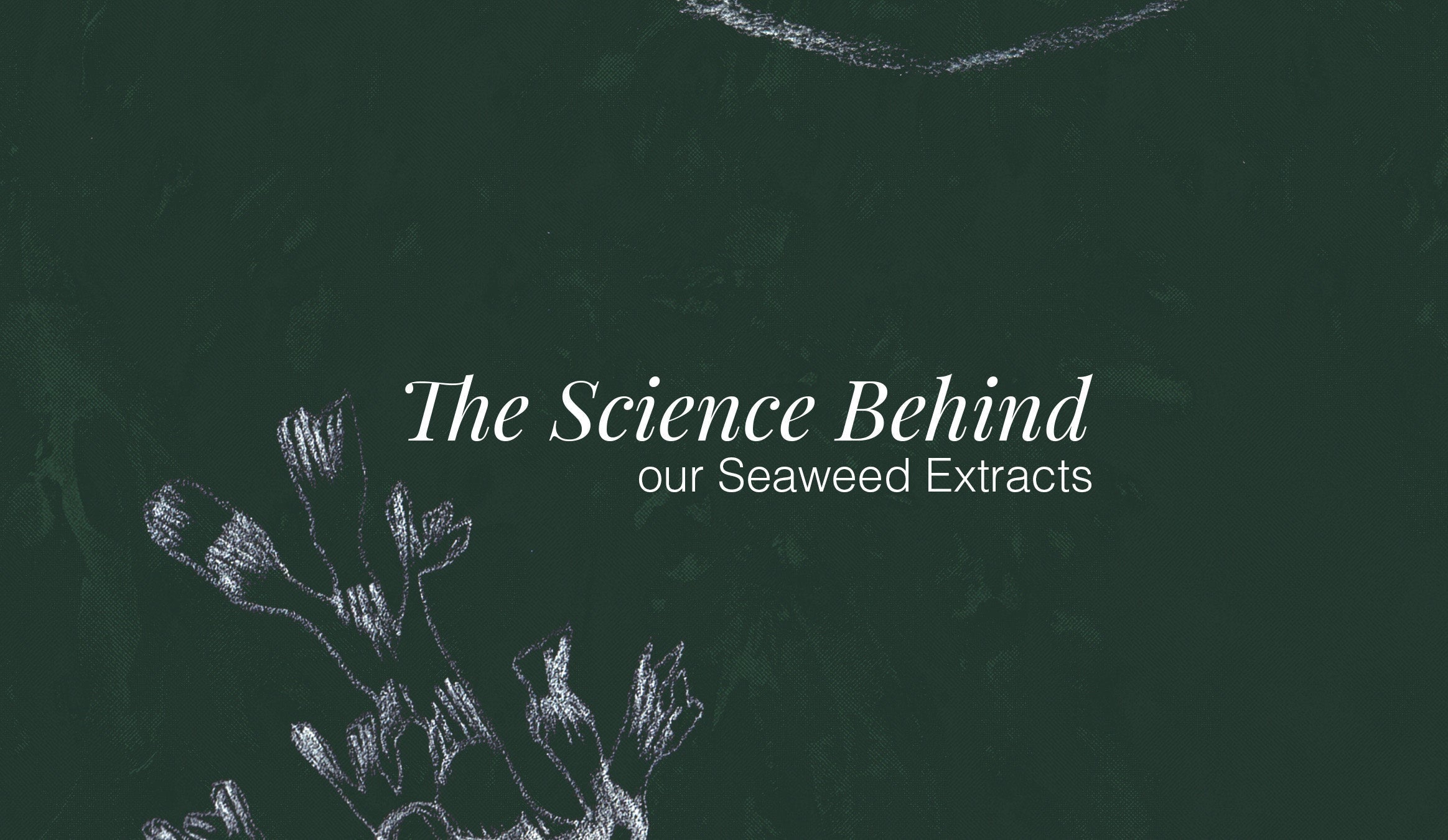 The Science behind our Seaweed Extracts