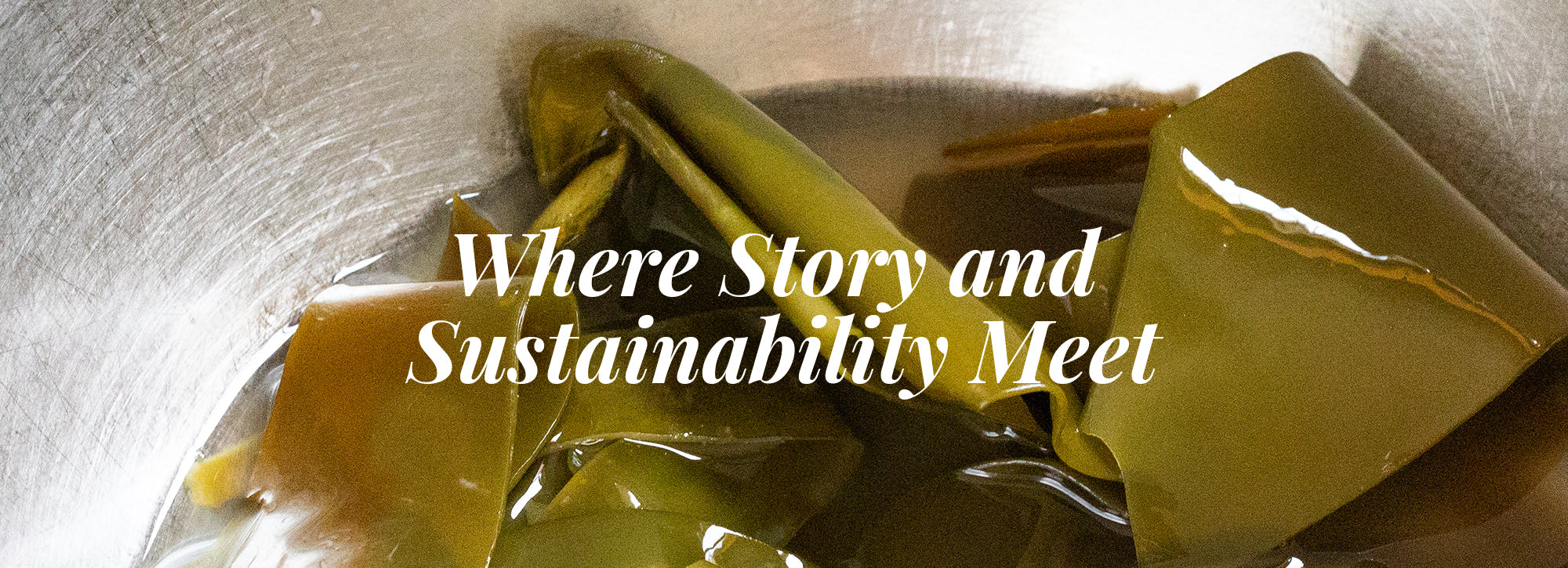Where Story and Sustainability meet