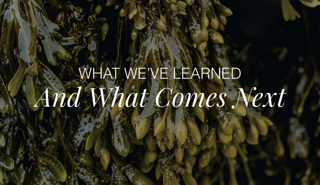 From Courtney: What We Learned from Dragons’ Den, and What Comes Next